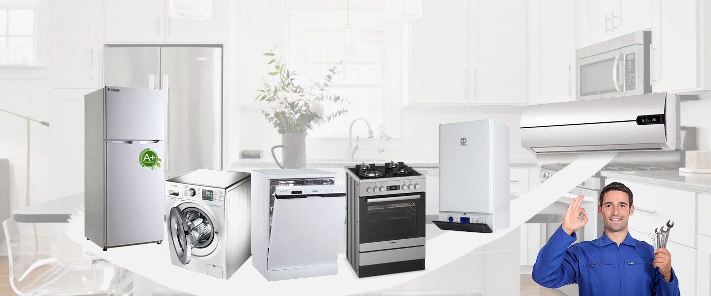 Araban Grundig Servisi
